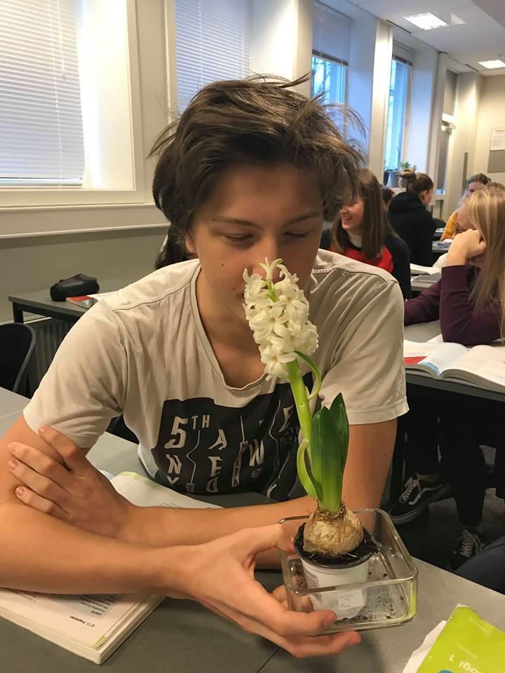 Klikk for stort bilde