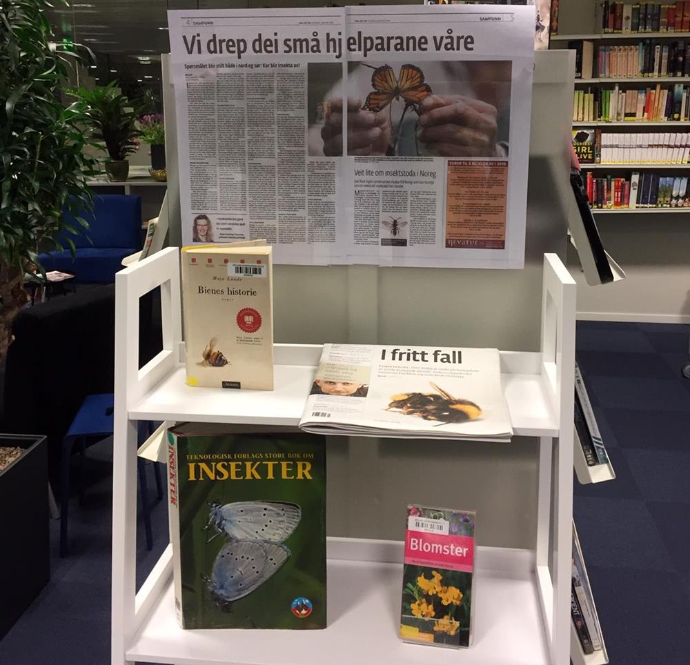 Klikk for stort bilde