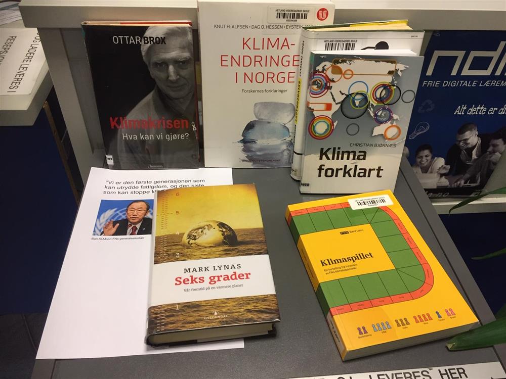 Klikk for stort bilde